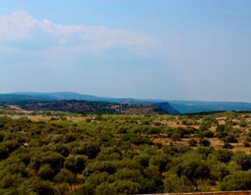 fattoria terra e libertà