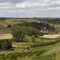 Cà Colomba