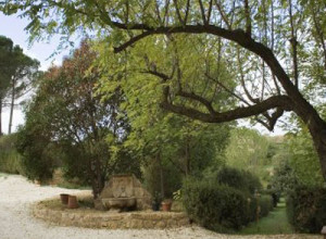 image10 Villa Trigona