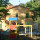 preview image7 attività