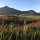 preview image5 esterno