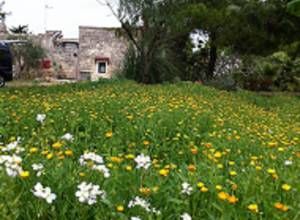 image1 Masseria Palombara