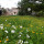 preview image4 giardino