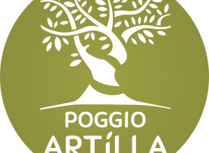 image10 Il Poggio Dell'artilla