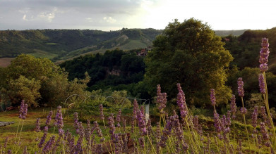 image19 Il Poggio Dell'artilla