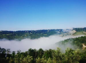 image9 Il Poggio Dell'artilla