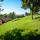 preview image20 giardino