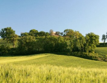 biologico pieve del colle fattoria didattica