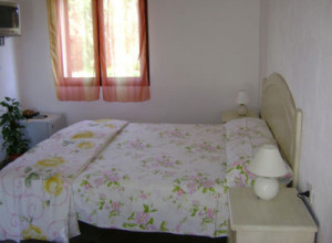 image4 Salmarina