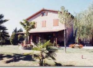 image10  Le Rondini