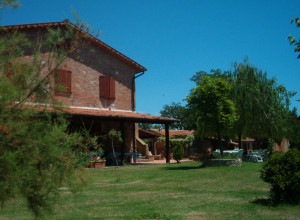 image27  Le Rondini
