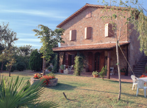 image17  Le Rondini