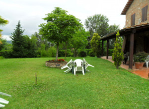 image19  Le Rondini