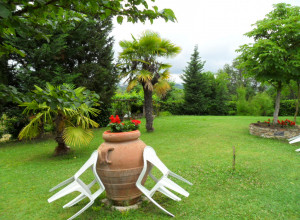 image14  Le Rondini
