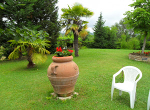 image26  Le Rondini