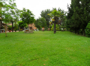 image13  Le Rondini
