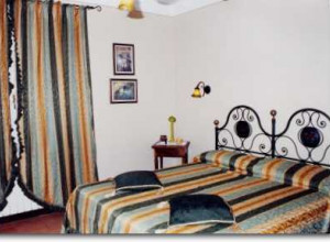 image4  Le Rondini