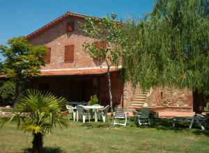 image6  Le Rondini