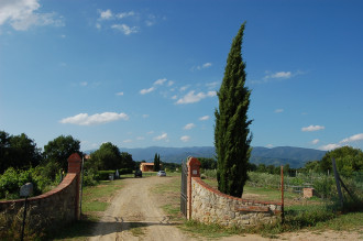 image15 Il Palazzo La Spiga
