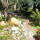 preview image6 giardino