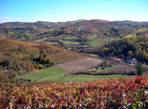 image7 Bricco Rosso