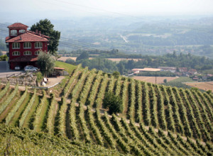 image9 Bricco Rosso
