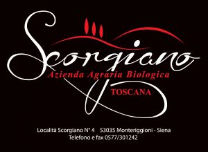 image7 Scorgiano