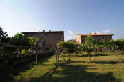 Scorgiano