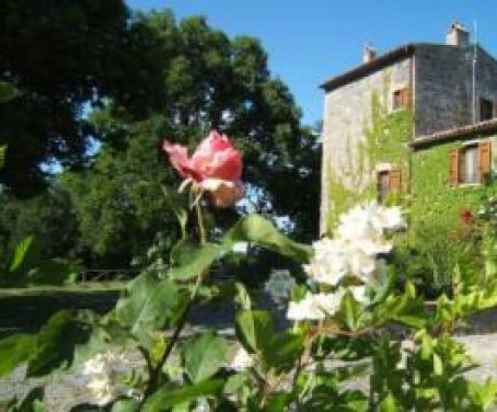 Farm-house Valle Del Tione - Orvieto