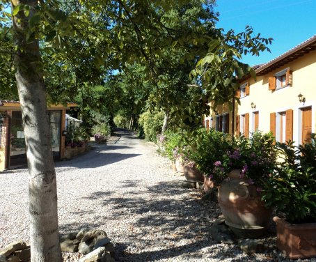 Countryside Holiday House  Villaggio Paradiso - Montevarchi