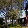 Podere Cavone