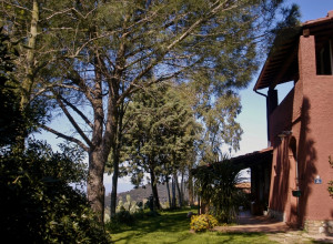 Agriturismo A Magliano In Toscana Con Piscina 24