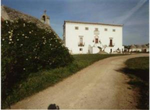 image4 Masseria Murgia Albanese