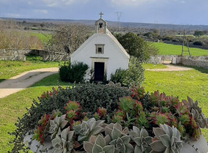 image5 Masseria Murgia Albanese