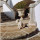 preview image20 esterno