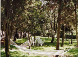 image18 Masseria Murgia Albanese