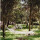 preview image19 esterno