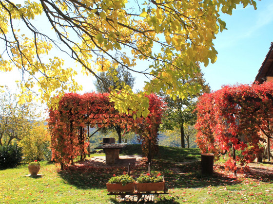 il biroccio foto esterno 34