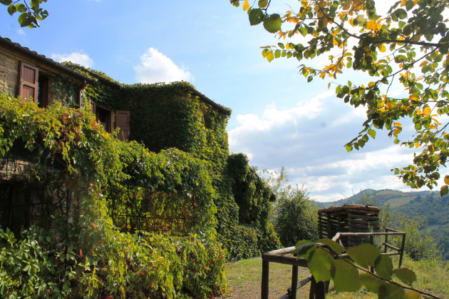 il biroccio foto esterno 35