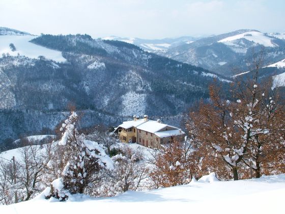 Il Biroccio - foto 35