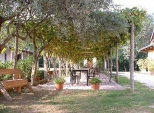 image16 Lupo Bianco