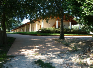 image18 Lupo Bianco