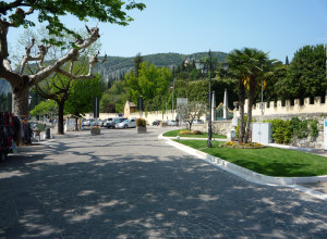 image11 Lupo Bianco