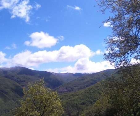 fattoria l'aurora - Piemonte