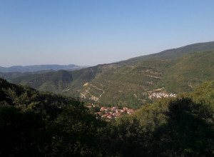 image0 Fattoria L'aurora