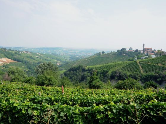Cascina Bricchetto Langhe - foto 18