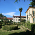 Corte Spinosa