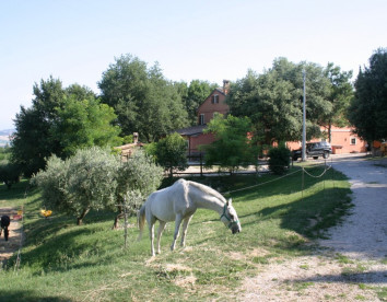 la meridiana