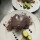 preview image12 ristorante