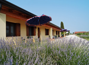 image5 Tenuta Regina